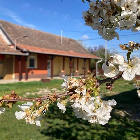Apartmán Tiszavirag Vendeghaz Tiszacsege Exteriér fotografie