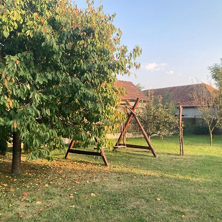Apartmán Tiszavirag Vendeghaz Tiszacsege Exteriér fotografie