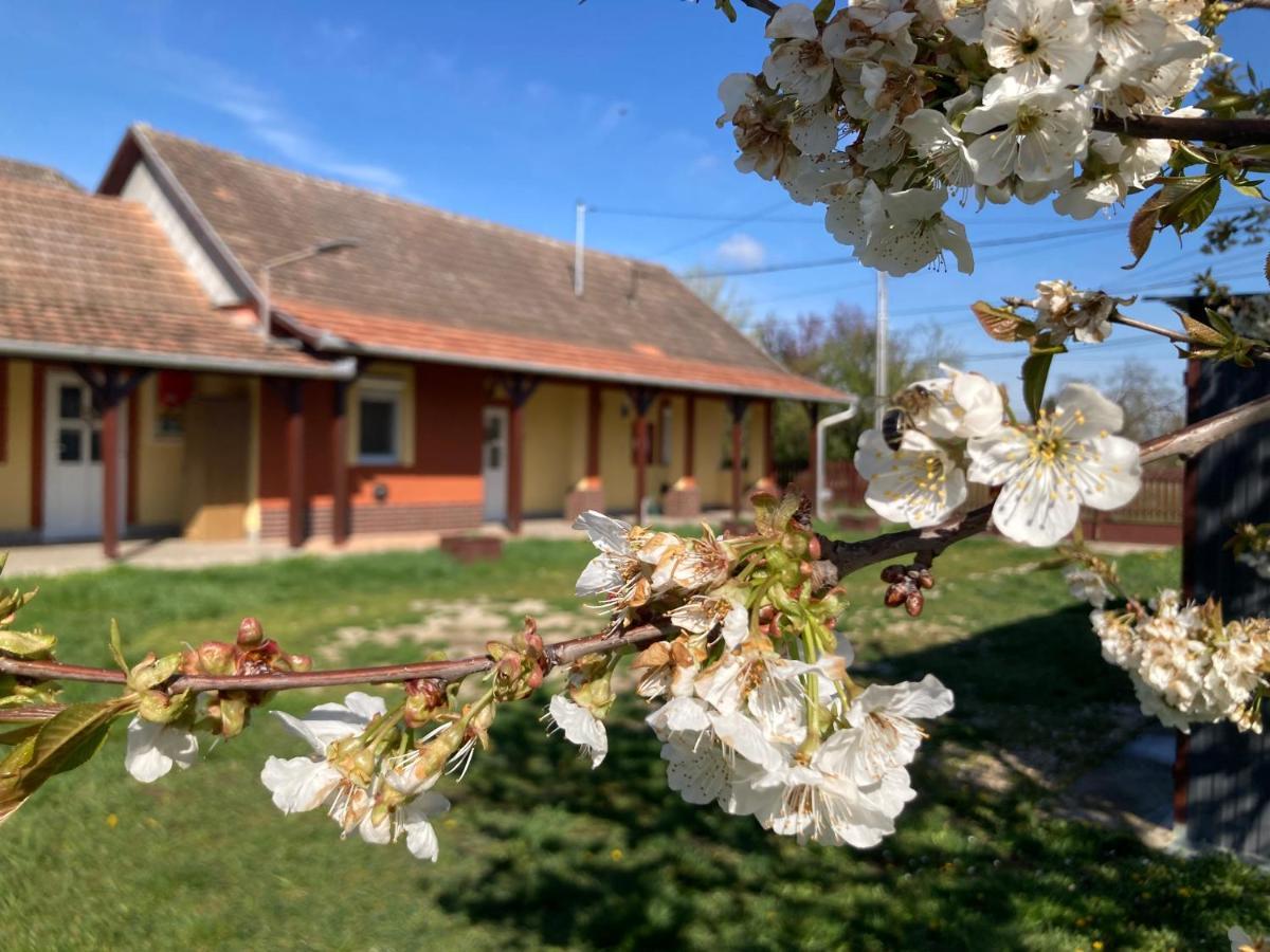 Apartmán Tiszavirag Vendeghaz Tiszacsege Exteriér fotografie